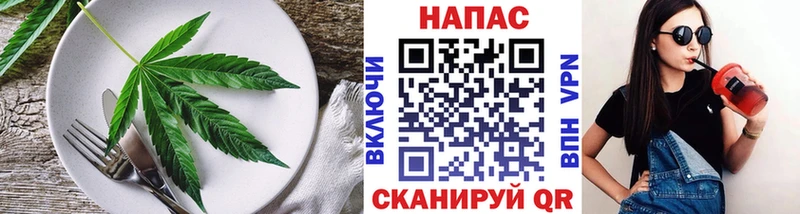 Купить закладки  Талица  Canna-Cookies марихуана 