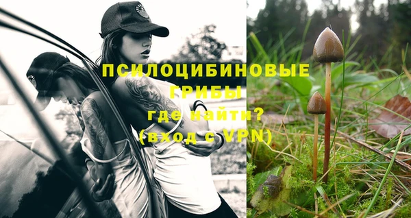 синтетический гашиш Заволжск